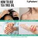 UpNature Organic Tea Tree Oil - 100% Pure Essential Oil for Skin Hair & Toenails - 2oz (Pack of 1) - International Shipping Available - Buy Online on GoSupps.com