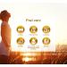 Buy 360 Apricot Seeds Capsules - 1100mg Apricot Core Extract Vitamin B17 + Natural Vitamin C - Half-Year Supply (180 Portions) - Premium Plantomol 360 Pieces - Buy Online on GoSupps.com