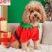 Funny Christmas Elf Costume for Dogs - Deluxe Holiday Outfit with Belt | Perfect for Medium Pets | Festive Dog Cosplay Shirt - Buy Online on GoSupps.com