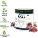 Performance Inspired Nutrition BCAA with Electrolytes, Taurine & Glutamine - Berry Fruit Blast 1.39lb Pack - All-Natural Recovery & Rebuild Formula - Buy Online on GoSupps.com