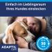 Adaptil Calm Start Set - Relaxation Solution for Dogs | Fast International Shipping - Buy Online on GoSupps.com