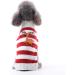 Shop Stylish Christmas Dog Costumes & Winter Sweaters - Abrrlo Pet Fashion (XS Kitz C1) - Buy Online on GoSupps.com
