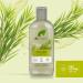 Dr Organic Tea Tree Shampoo 265ml - Natural, Vegan, Cruelty-Free, Paraben & SLS Free, Eco-Friendly Packaging - For Women & Men - Buy Online on GoSupps.com