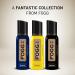 FOGG Absolute Fragrance Body Spray 120Ml - Buy Online on GoSupps.com
