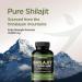Gade Nutrition Pure Shilajit Capsules | Himalayan Shilajit with Fulvic Acid and Essential Minerals to Combat Fatigue | Veggie Capsules | Made in USA - Buy Online on GoSupps.com