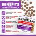 Multivitamin Chews for Dogs - Dog Vitamins - 23-in-1 Formula - Glucosamine Cranberry Salmon Oil - Vet Created - Made in USA - Buy Online on GoSupps.com