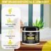 Hemp Seed Bath Crystals with All-Natural Extracts - 385g/13oz Epsom Salt for Aromatherapy & Relaxation | Gluten, Paraben, Cruelty Free (Lemon Zest) - Buy Online on GoSupps.com