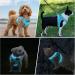 Buy PCEOTLLAR Dog Harness - LED Reflective & Breathable Light Dishes for Small to Medium Dogs - Blue - Buy Online on GoSupps.com