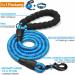 Haapaw Blue Reflective Dog Collar - Padded Neoprene Breathable Nylon for Small Medium & Large Dogs (1 Pack) - Buy Online on GoSupps.com