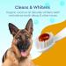 Pura Naturals Pet Organic Dog Tooth Gel | Natural Toothpaste Eco-Friendly Non-Toxic | 85 ml - Buy Online on GoSupps.com