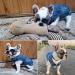 Brocarp Dog Jean Jacket Blue Denim Vest Coat for Small Dogs - Cute & Machine Washable Apparel - Buy Online on GoSupps.com