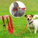 Pettom Drag Line for Dogs - Robust 6m/10m/15m Leash with Padded Handle | Durable Nylon Training Line | Perfect for Cross-Country Adventures - Buy Online on GoSupps.com