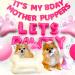 JeVenis Dog Birthday Party Balloon Garland Kit - Pawty Supplies for Puppy Birthday Celebration - Pink Dog Decorations - Buy Online on GoSupps.com
