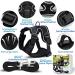Schwartz S Cat Dishes with Leash - Premium Cat Harness for Maine Coons & Large Cats - Durable Cat Leash & Feeding Dish Combo - Buy Online on GoSupps.com