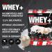 Honest Whey Protein Powder - Cocos & Cream 1000g | Instant Soluble Protein with EAA & BCAA | 12.5% Isolates from Fresh Pasture Milk - International Shipping Available - Buy Online on GoSupps.com