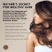 Hemp Seed Hair Care Shampoo & Conditioner Set - Nag Champa Scent | 8 oz | Vegan & Cruelty-Free with Hemp & Coconut Oil - Buy Online on GoSupps.com