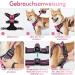 Rabbitgoo Anti-Pull Dog Harness for Medium Dogs - Adjustable Breathable No-Choke Design with Reflective Stripes - Perfect for Training & Safe Guidance - Pink (1 Pack) - Buy Online on GoSupps.com