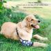 Adjustable Dog Elbow Brace with Soft Breathable Fabric Prevent Licking Extra Thick Cotton Dog Leg Wounds Protector for Pet Elbow Joint (L) - Buy Online on GoSupps.com