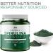 Organic Spirulina Powder 1kg/2.2lb - USDA Certified - 285 Servings of 3.5g - Over 70% Protein - Vegan Superfood - Buy Online on GoSupps.com