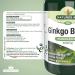 Natures Aid Ginkgo Biloba 6000 mg Equivalent Vegan 90 Tablets Single - Buy Online on GoSupps.com