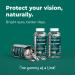 nETiXER Eye Vision Gummies 60 Berry-Flavored Vegan Gummies with Lutein Zeaxanthin Astaxanthin DHA Vitamins A C E Gelatin-Free Gluten-Free | Individually Wrapped - Buy Online on GoSupps.com
