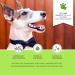 Moofurr Dental Spray for Dogs 100ml - Natural Mint Tooth & Tartar Remover - Optimal Dog Dental Care - Buy Online on GoSupps.com