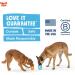 West Paw Zogoflex Toppl Kurzli - Interactive Dog Puzzle Toy for Moderate Chewers - Dispenser for Treats & Dry Food - XL Aqua Blue - Buy Online on GoSupps.com
