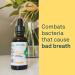 Organika Bee Propolis Liquid 30ml - Natural Immune Support & Sore Throat Relief | Antioxidant Supplement, Gluten-Free, Alcohol-Free - 1 Fl Oz - Buy Online on GoSupps.com