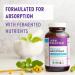 New Chapter Perfect Calm Multivitamin for Stress & Mood Support - 144 Count Calming Formula with B Vitamins, Holy Basil, Lemon Balm & Organic Non-GMO Ingredients - Buy Online on GoSupps.com