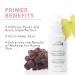 100% PURE Luminous Face Primer - Illuminating Makeup Base & Moisturizer | Anti-Aging Antioxidants | Glowy & Long-Lasting | Pore Diminishing Cosmetics | Flawless Hydration - 1 oz - Buy Online on GoSupps.com