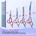 Gimars 4CR Stainless Steel 6-in-1 Pet Scissors - Safe Durable Titanium-Coated Grooming Tools for Dogs & Cats - Buy Online on GoSupps.com