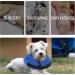 Inflatable Dog & Cat Recovery Collar | Adjustable Protective Inflatable Ruff for Post-Operation Wounds (M) - Shop Now! - Buy Online on GoSupps.com