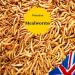 UK GROW 5L Premium Dried Mealworms - High-Quality 5 Litre Pack - Buy Online on GoSupps.com