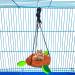 5PCS Forest Pattern Hammock and Swing Set for Small Animals - Cage Toy Accessories for Hamsters, Rats, Guinea Pigs, Gliders, and Squirrels - Buy Online on GoSupps.com