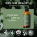 Eve Hansen Organic Eucalyptus Essential Oil 4oz | USDA Certified | Aromatherapy & Topical Use | Ideal for Sauna - Buy Online on GoSupps.com