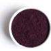 Terrasoul Superfoods Organic Elderberry Powder 4 Oz - Freeze-Dried Antioxidant Immunity Support - Buy Online on GoSupps.com