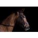 The Golden Paste Company TurmerItch Maintenance Horse Turmeric Supplement for a Healthy Skin and Coat 2kg - Buy Online on GoSupps.com