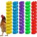 Toseky Poultry Duck Leg Tags Chicken Leg Rings - Numbered Leg Band Chicken Identification Leg Bands for Chicken Ducks  - Buy Online on GoSupps.com