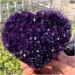Natural Crystal Rough Crystal Cluster Natural Heart-Shaped Amethyst Gem Quartz Cluster Crystal Sample (Size : 300-350g) - Buy Online on GoSupps.com