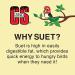 C&S Suet Treats 12 Pack Woodpecker - Premium Wild Bird Feeding Solution - Buy Online on GoSupps.com