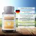 200 Vegan Choline Capsules for 6 Months Supports Fat Metabolism & Liver Function No Additives - Buy Online on GoSupps.com