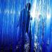 PartyWoo 2 pcs Royal Blue Foil Fringe Curtains for Birthday Wedding Party Decorations - Buy Online on GoSupps.com