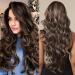 HAIRCUBE Brown Wigs for Women Long Natural Curly Synthetic Partial Hair Wig with Highlights Natural Brown