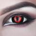 Buy Ghoul Black Red 17mm Mini Sclera Contact Lenses - 12 Month Annual Lenses for Ken Kaneki Costume | Halloween Horror - Includes Container | 1 Pair (2 Pieces) - Buy Online on GoSupps.com