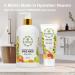 Aromatherapy Luxury Liquid Hand Soap - Vegan & Moisturizing with Aloe Vera & Citrus - 16 Oz Hand Wash for Bathroom & Kitchen - Buy Online on GoSupps.com