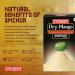 Everest Dry Mango Powder (Aamchoor) - 100 Grams - Buy Online on GoSupps.com