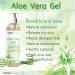 DMSOSTORE Aloe Vera Gel 8 oz (227g) Alcohol-Free Made From Purified Aloe Vera Inner Leaf Soothing Skin Moisturizing Hydrating - Buy Online on GoSupps.com