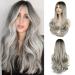 Faelbaty wig with long curls silver -gray wig with pony ombre brown to gray wig with long curls wig for women natural wig natural wig for girls party cosplay wig (24 "Rh6/171/gray) Rh6/171/gray#