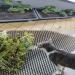 JINZOFLY Cat Scat Mat with Spikes - 12 Pieces, 7.96.1Inches - Pet Scat Mat for Garden & Fence - Buy Online on GoSupps.com