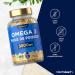 Omega 3 Fish Oil 3000mg | 240 Capsules | Omega 3 Fatty Acids with EPA and DHA | Fish Oil Supplement | Omega 3 Fish Oil Supplement | Horbaach - Buy Online on GoSupps.com